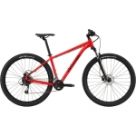 Велосипед 29" Cannondale Trail 7 2024