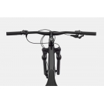 Велосипед 29" Cannondale Trail SL 3 2024