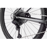 Велосипед 29" Cannondale Trail SL 3 2024