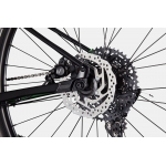 Велосипед 29" Cannondale Trail SL 3 2024