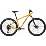 Велосипед 29" Cannondale Trail 5 2023