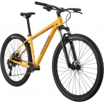 Велосипед 29" Cannondale Trail 5 2023