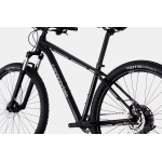 Велосипед 29" Cannondale Trail 5 2023