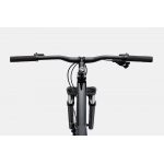 Велосипед 29" Cannondale Trail 5 2023