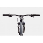 Велосипед 29" Cannondale Trail 6 2024