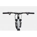 Велосипед 29" Cannondale Trail 7 Feminine 2024