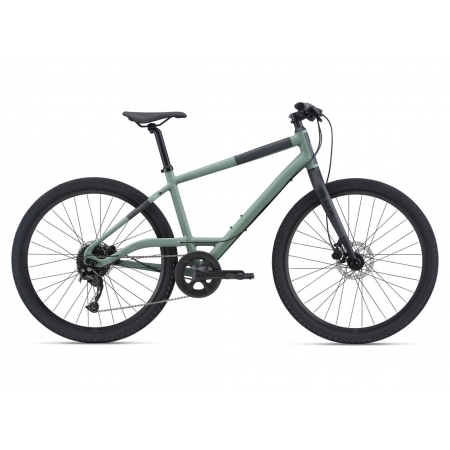 Велосипед Momentum iRide UX 9S зелений Patina рама M