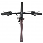 Велосипед Giant FastRoad AR 3 вугільний Plum рама ML