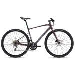 Велосипед Giant FastRoad AR 3 вугільний Plum рама ML