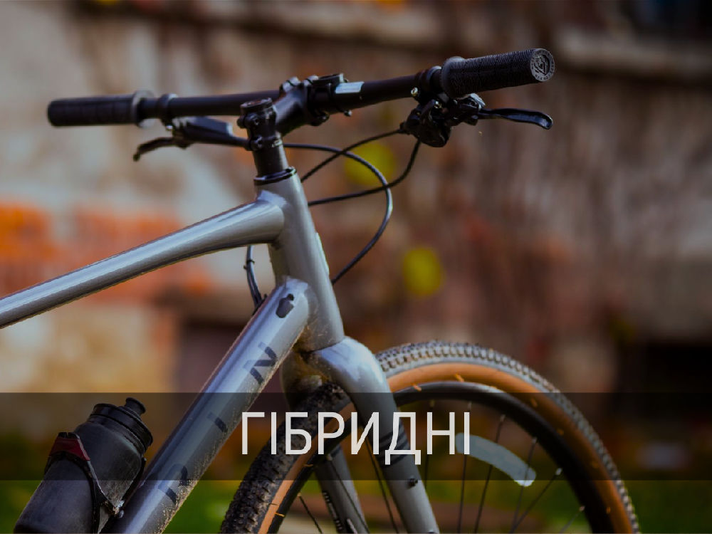 гібридні