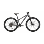 Велосипед 26" Cyclone RD XS сірий матовий 2024