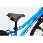 Велосипед 20" Cannondale Trail 2025