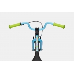 Велосипед 20" Cannondale Trail SS 2025