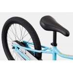 Велосипед 20" Cannondale Trail SS 2025